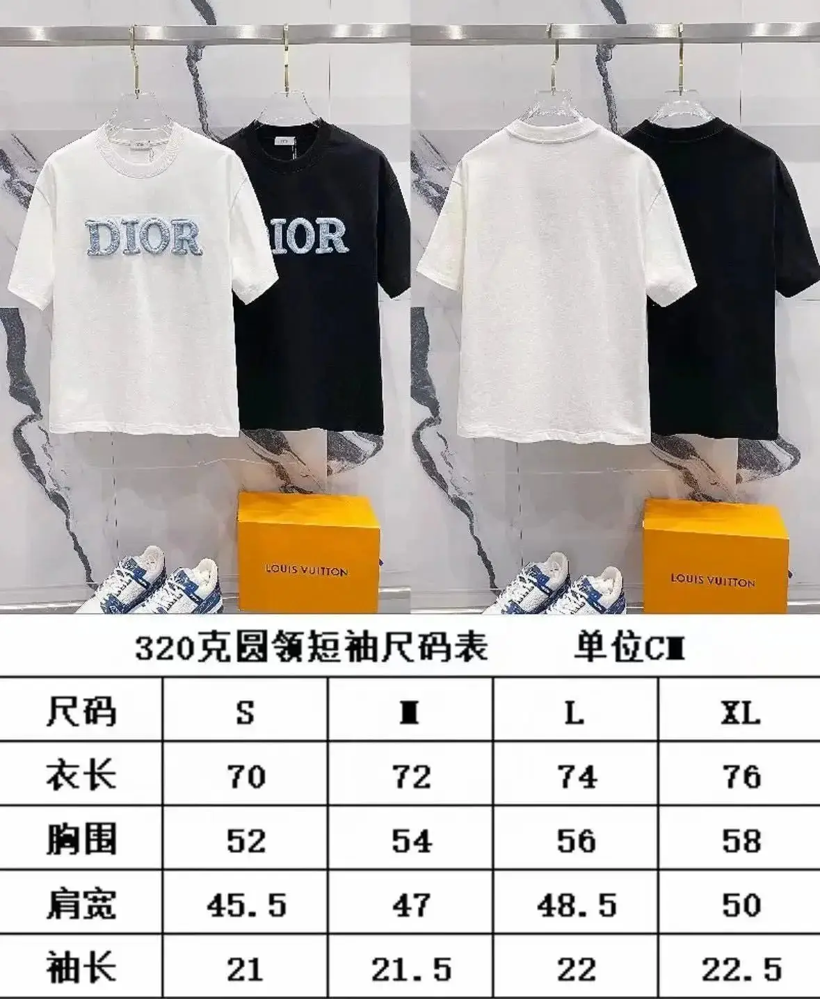 Dior T-shirt 2