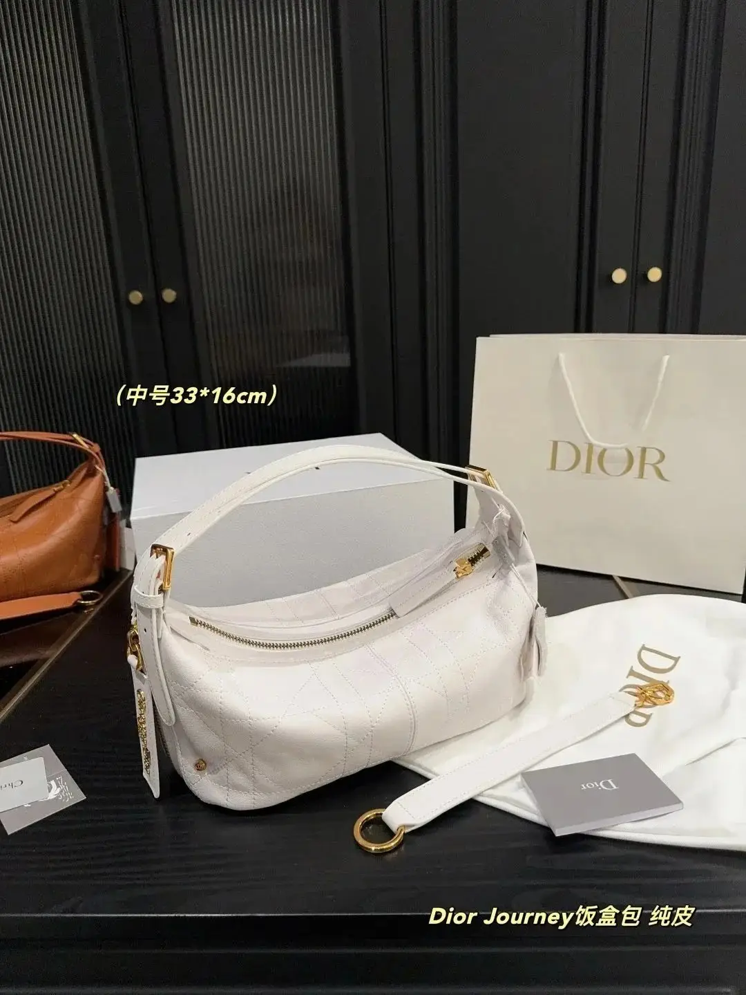 Dior Quilted Shoulder Bag