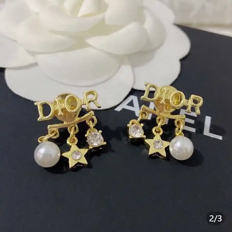 Dior Earrings 2